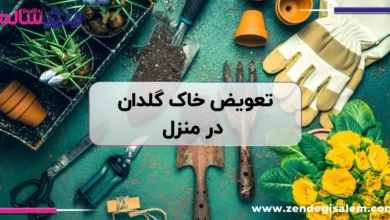 راهنمای تعویض خاک گلدان در منزل