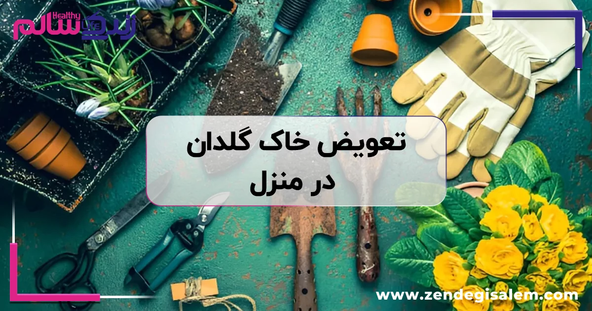 راهنمای تعویض خاک گلدان در منزل