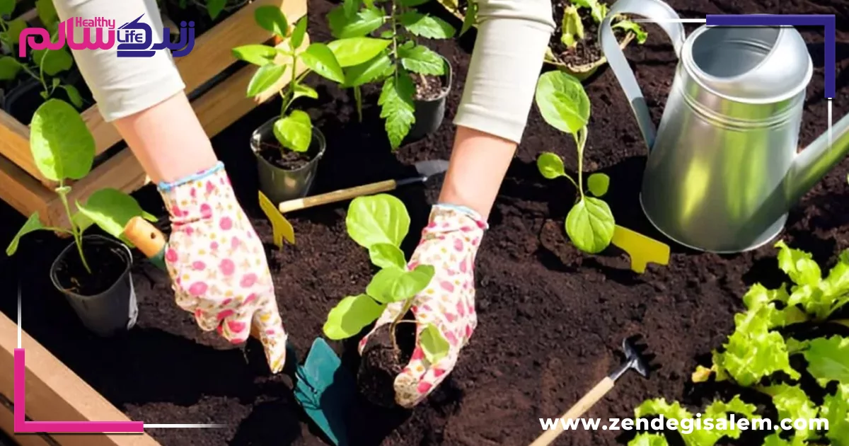 بهترین زمان برای تعویض خاک گلدان