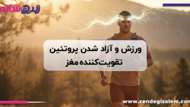 آیا ورزش موجب آزاد شدن پروتئین تقویت‌کننده مغز می‌شود؟