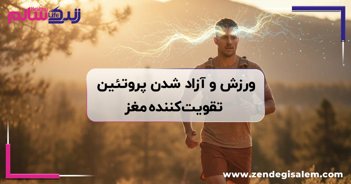 آیا ورزش موجب آزاد شدن پروتئین تقویتکننده مغز میشود؟