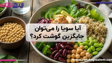 آیا سویا را می‌توان جایگزین گوشت کرد؟