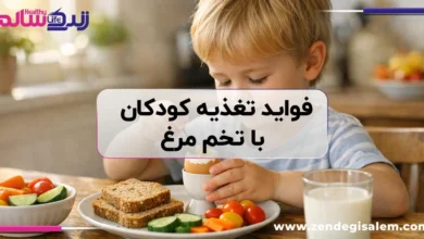 فواید تغذیه کودکان با تخم مرغ