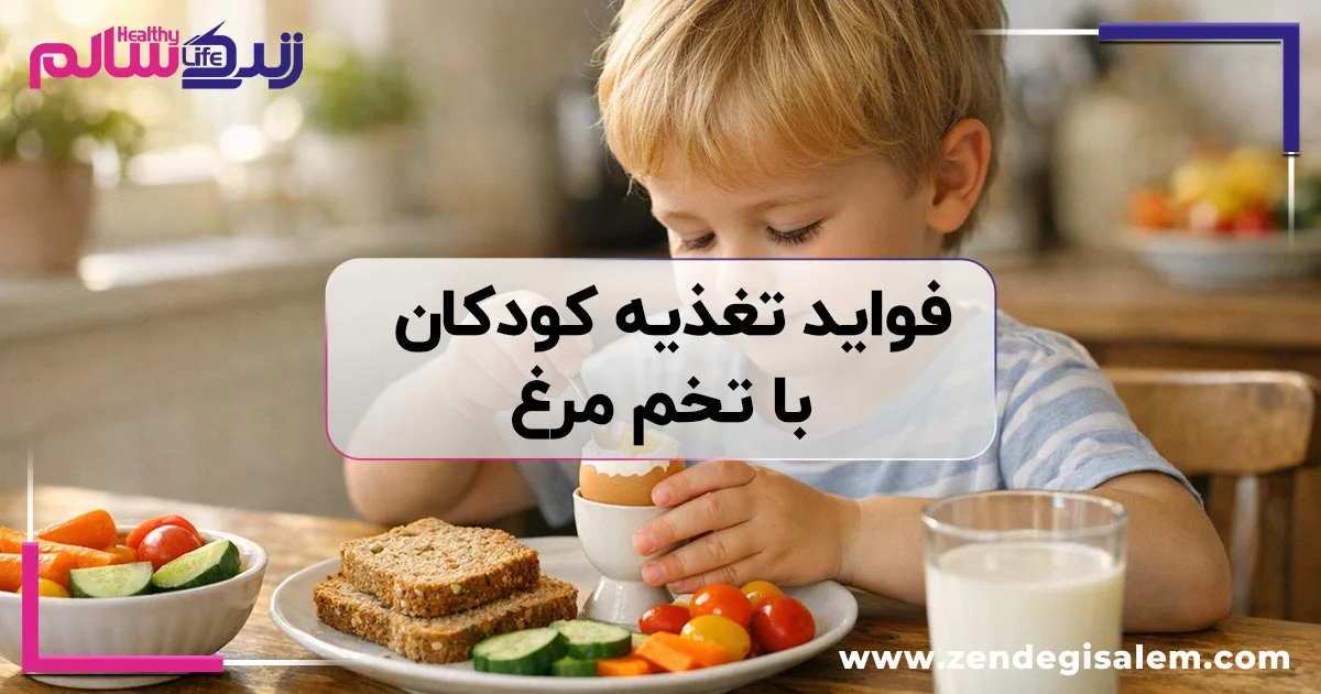 فواید تغذیه کودکان با تخم مرغ