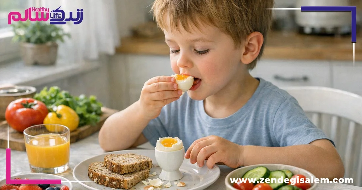 موارد احتیاط و نکات مهم در مصرف تخم مرغ برای کودکان