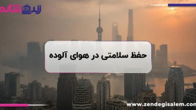 راهکارهای حفظ سلامتی در هوای آلوده