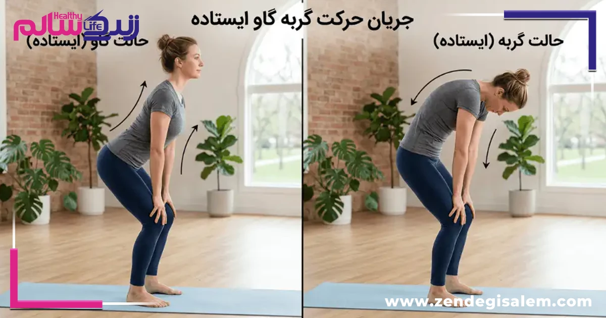 روتین موبیلیتی